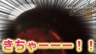 待ちに待った茶柱タイム！【モンスターハンターワイルズ】
