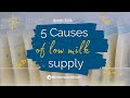 Boob Talk How To Store Breastmilk