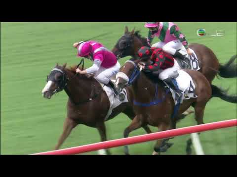 2020/21 (633) - Ka Ying Spirit (嘉應精神) - 潘頓 (初出即搏大熱取勝)