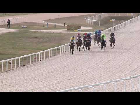 2021.03.28. 07. futam - NYERETLENEK VERSENYE (V.kat.) (szintetikus pálya)