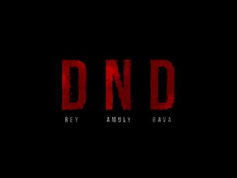 Rey x Amuly x RAVA - DND (Visualizer)