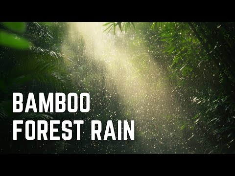 BAMBOO FOREST RAIN | 12 Hours | Black Screen | No Midway Ads | Relax/ Calm Anxiety/ Sleep/ Focus