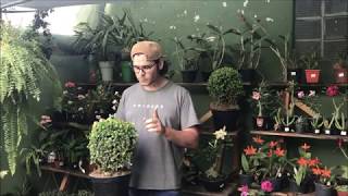 V&iacute;deo do produto