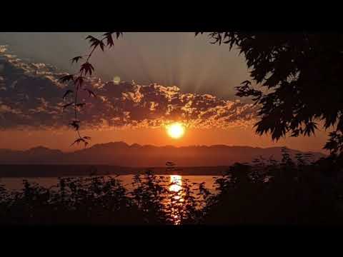 Toccata in D - J Krieger