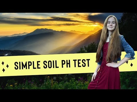 Simple DIY Soil pH Test at Home!