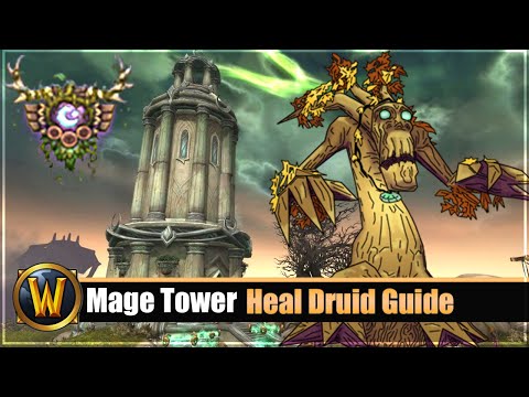 Mage Tower Timewalking Heal Druid Guide + Gear/Consumables Tipps