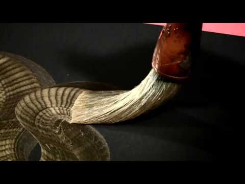 誉-HOMARE- VP 04　http://www.homare.kyoto/