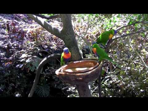 Tenerife 2013. Part 1 (нарезка)