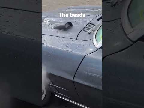 Thumbnail for Maintenance wash. #detailing #cardetailing #sps #ceramiccoating #firebird #pontiac #automobile by Car