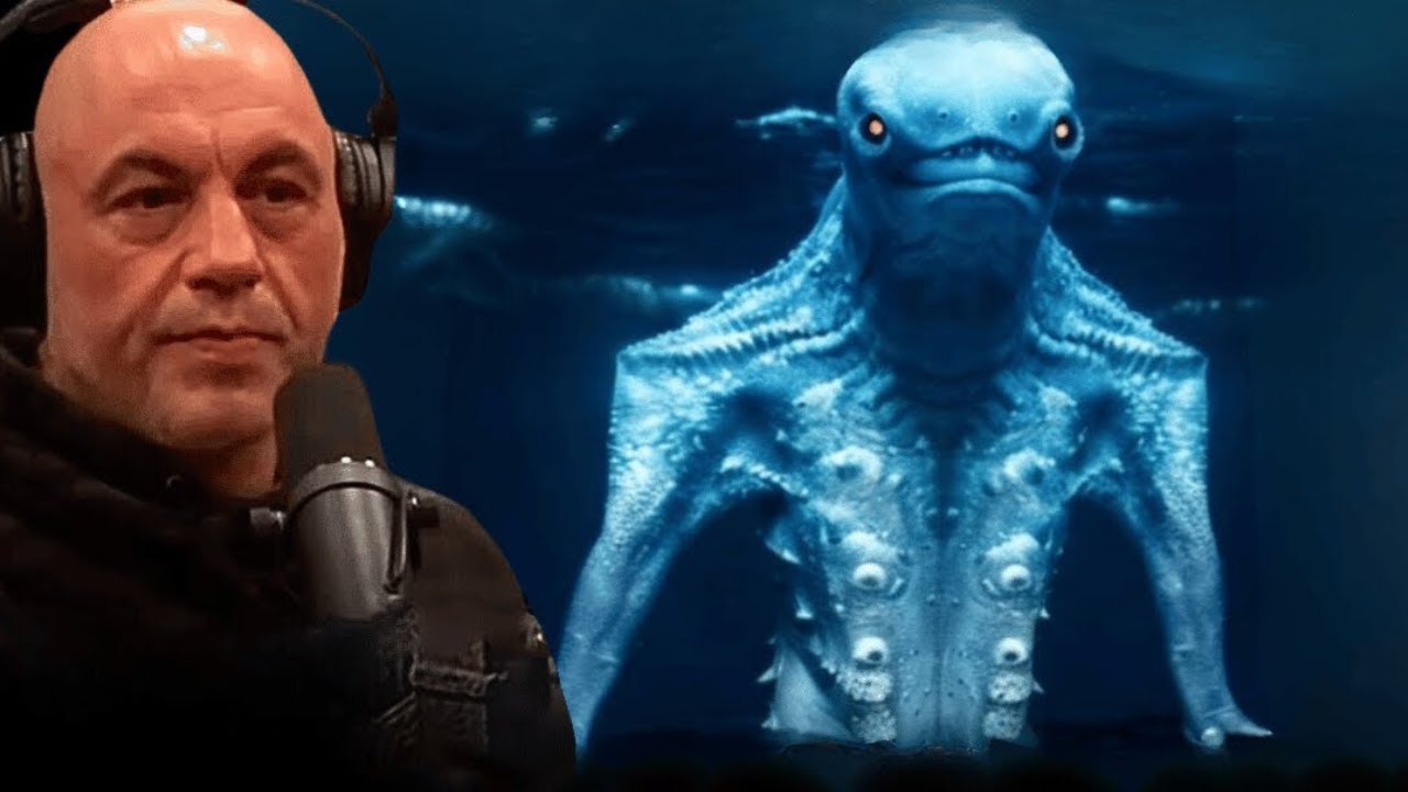 Joe Rogan Tells Us What The Navy Saw While Diving in the Ocean