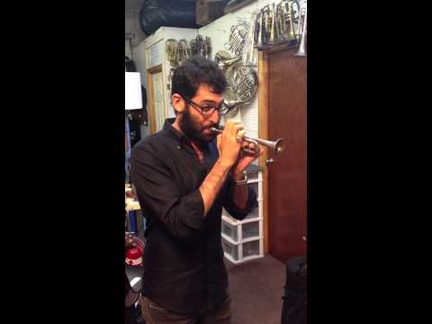 Amazing mini trumpet