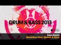 UKF Drum & Bass 2013 (Album Megamix) 