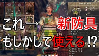 強い？使える？　ワイルドハーツ　琥珀主・猛　防具ビルド