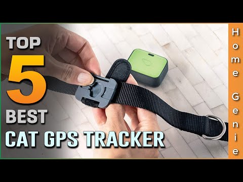 Top 5 Best Cat GPS Trackers Review in 2022 (To Locate Your Pet Trouble-free)