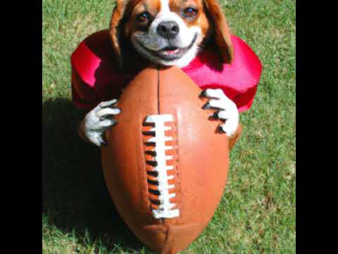 Ep. 6 - Pagliacci full opera with Placido Domingo as Canio [FULL] [FREE] [NO ADS]