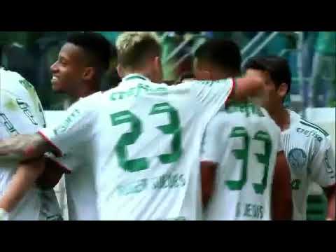 Palmeiras 3 x 1 Santa Cruz - Brasileiro 2016
