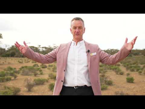 191 Roonka Road, Blanchetown, SA 5357, 0 slaapkamers, 0 badkamers, Section