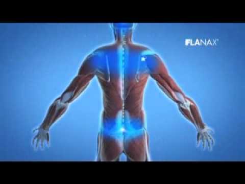 A Rosa Azul   As Aventuras do Ladrão de Bagdá   YouTube