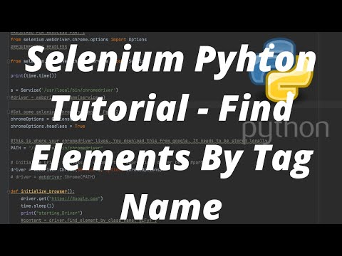 Selenium Find Element By Name Python