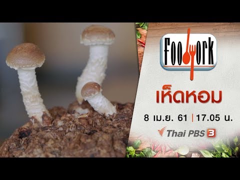 กระตุ้นยาเสพติดสำหรับเด็ก เพื่อเพิ่มความแข็งแรงของผู้ชายเจ้าชู้
