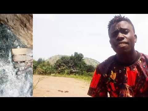 Boracma.bai. star king azoora 