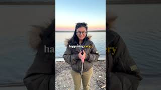 Activities on the Margaritaville Cruise #margaritaville #cruise #travel