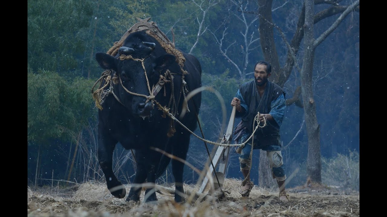『黒の牛』（2016年度優秀映画企画／蔦哲一朗監督）