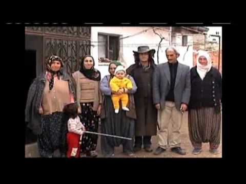 UH Cancer Researchers Find Significant Discovery