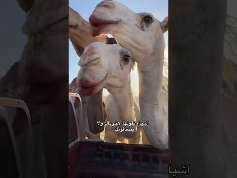 كود خصم نون mar110k