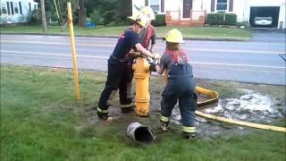 preview picture of video 'DRESSING HYDRANTS.wmv'