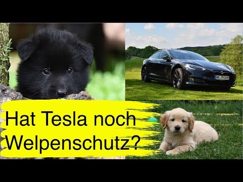 , title : '#45 Ist Tesla wirklich noch ein Startup mit Welpenschutz?'