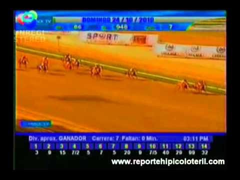 Resumen La Rinconada Domingo 24/10/2010