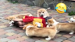 Watch Out For These Puppies! | FUNNIEST Pets of the Month
