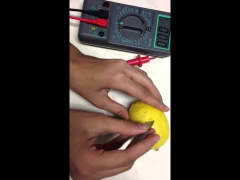 Science Investigative Project (Fruit Power Battery)
