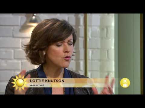 Reseexperten: Folk är som tokiga i det här - Nyhetsmorgon (TV4)
