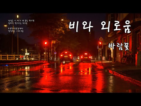 비와 외로움  -  바람꽃