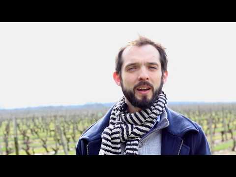 Baptiste Fabre of Loire Propriétés in the Loire Valley, France