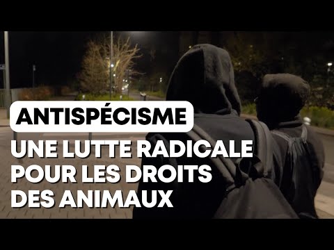 Ces militants prêts à tout pour la cause animale