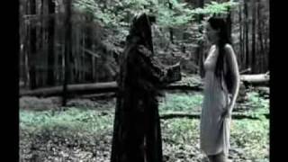 Angelzoom - Fairyland