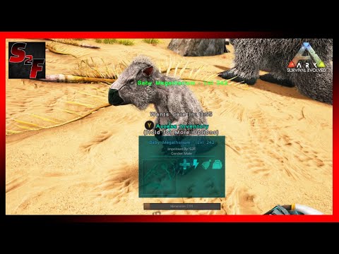 Taming and Breeding Megatherium's!! - ARK: Survival Evolved (Ep. 21)