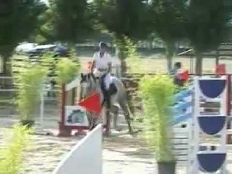 Shaggy del Pietriccio Rosso