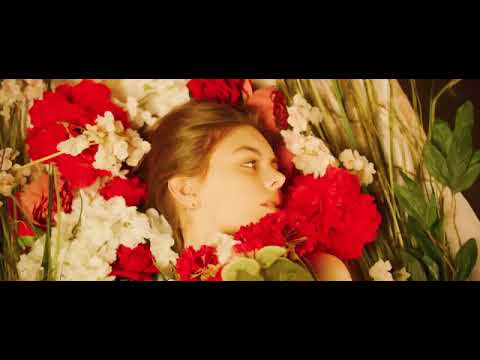 Akcent feat  Sierra   Without You by Monoir Official Video