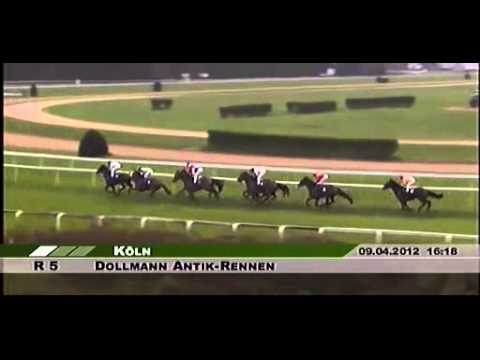 Dollmann Antik-Rennen - Ausgleich 3 (D) - Pferderennen Köln - 5. Rennen