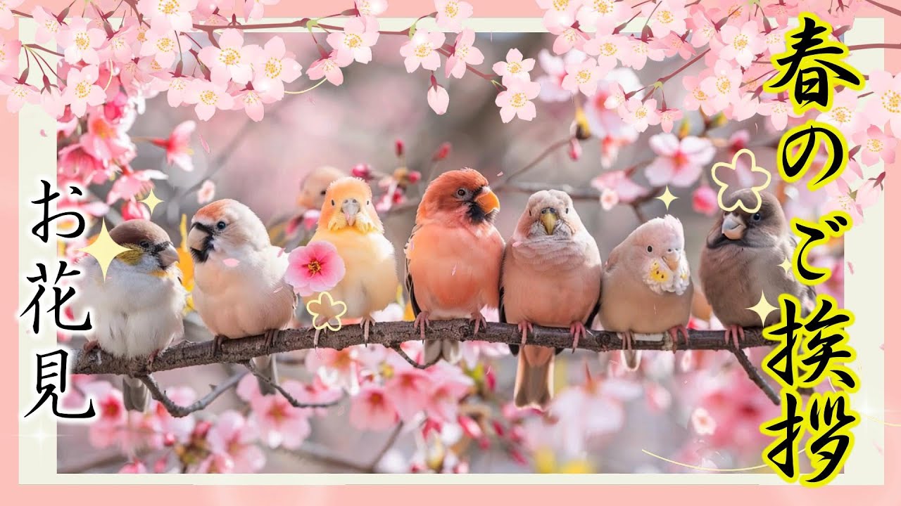 【春の挨拶動画】お花見の風景をラインで送る４月のカード