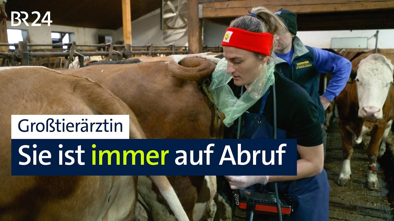 Tierarztmangel auf dem Land: Warum Großtierärzte fehlen | BR24