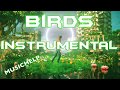 Imagine Dragons - Birds INSTRUMENTAL/KARAOKE With Lyrics