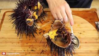 Как открыть морского ежа