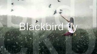Blackbird by Sarah McLanchlan with lyrics.wmv