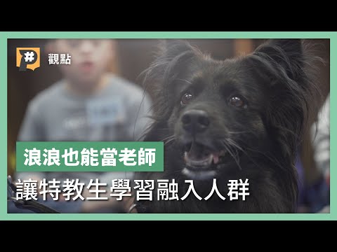 翻轉逆境！撫平浪浪創傷變成心輔犬 療癒特殊族群建立自信心