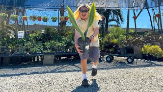 WINNING BIG: Nursery Plant Shopping Spree